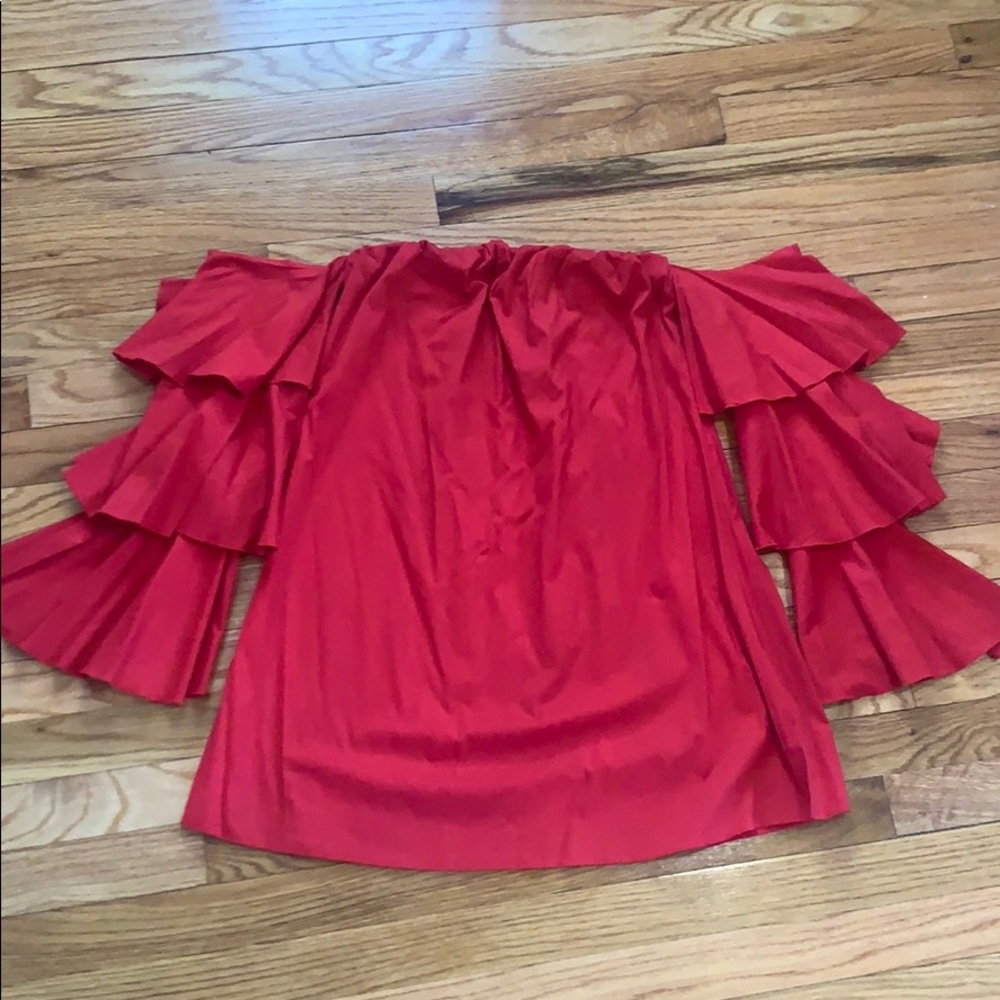 Red Ruffled Sleeve Dress - Picture 5 of 6